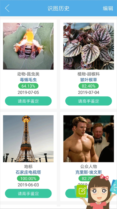 ����ͼ������ʶ������
