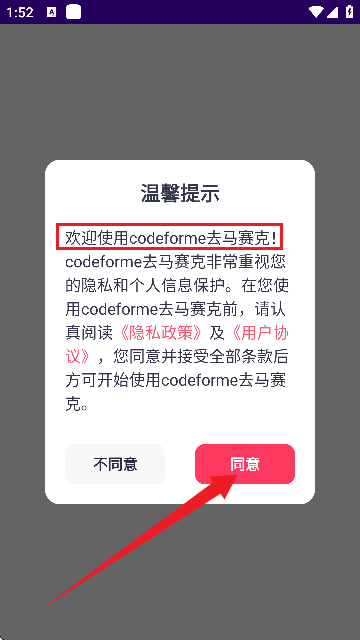 codeformer����