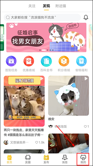 ��èapp
