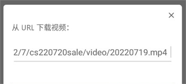 RealPlayer