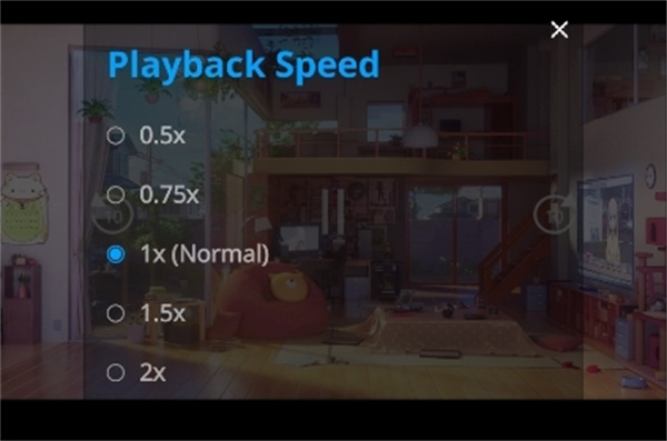 RealPlayer