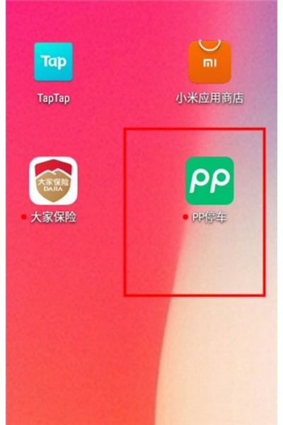 PPͣ������
