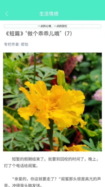 �������� v5.0.52