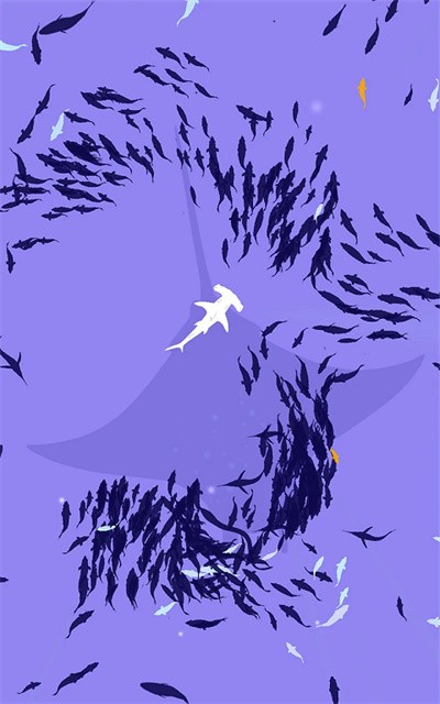 ���Ⱥ v1.0.51