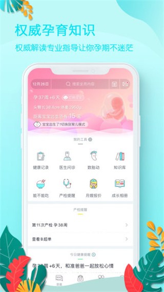 ������ v5.6.20