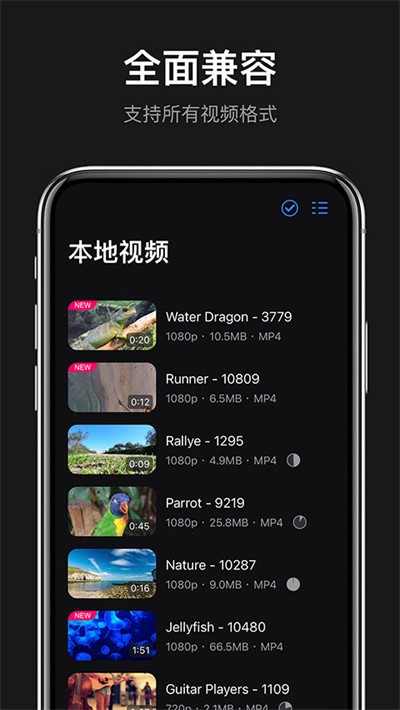 rPlayerVR������ v1.1.43