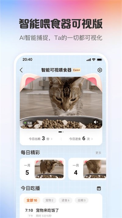 С�����app v13.8.13