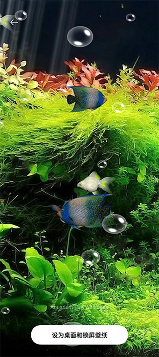 ˮ��ݶ�̬��ֽ v5.33