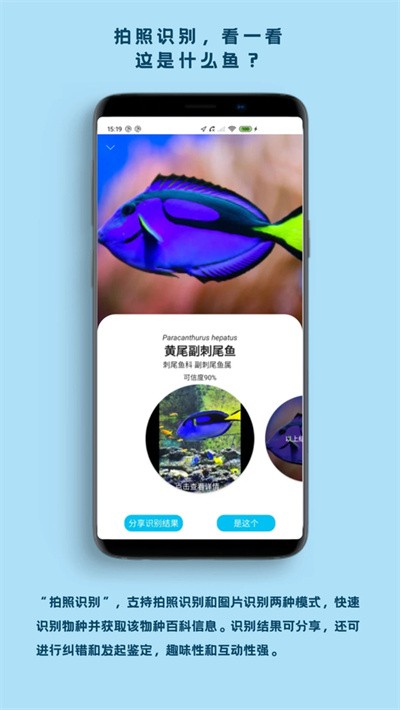 ���� v2.9.21