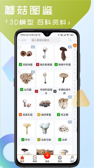 菌窝子 v4.6.42