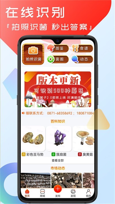 菌窝子 v4.6.43