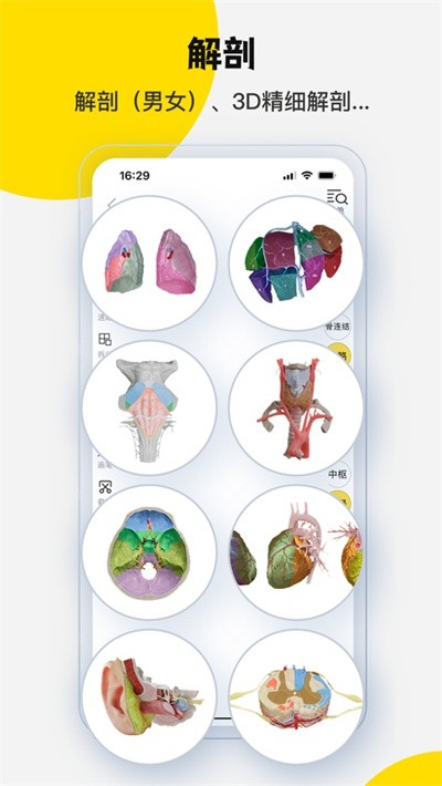 3dbody�������ѧ v8.9.212