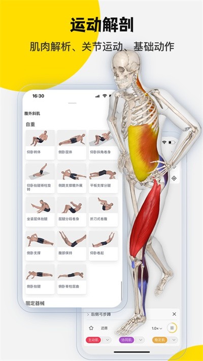 3dbody�������ѧ v8.9.210