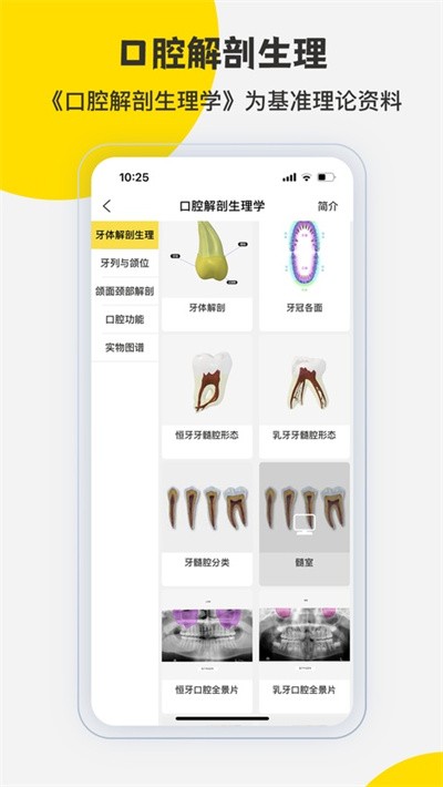 3dbody�������ѧ v8.9.211