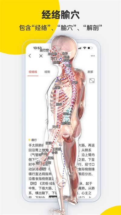 3dbody�������ѧ v8.9.214