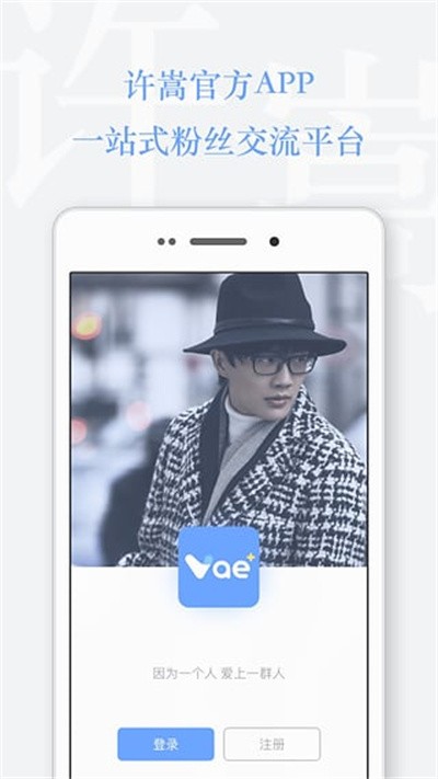 Vae+ v2.6.81