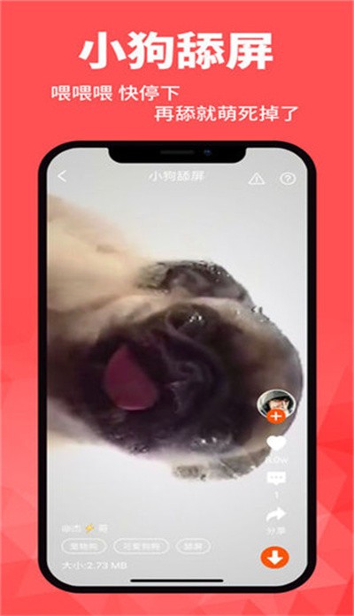 ��ֽ�� v5.24