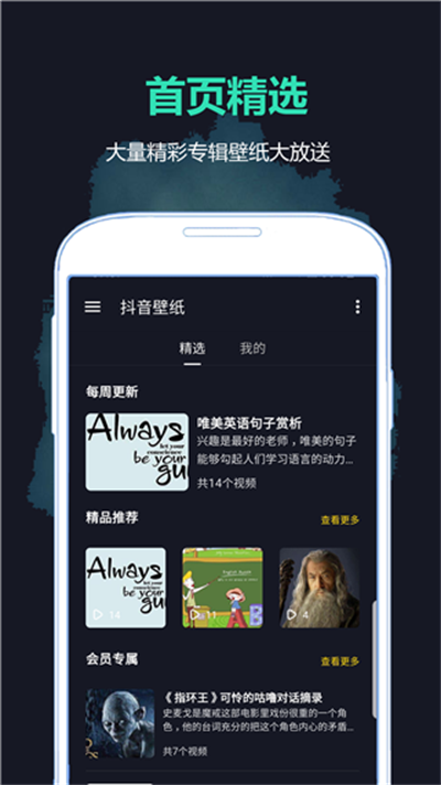 ������ֽ v6.6.03
