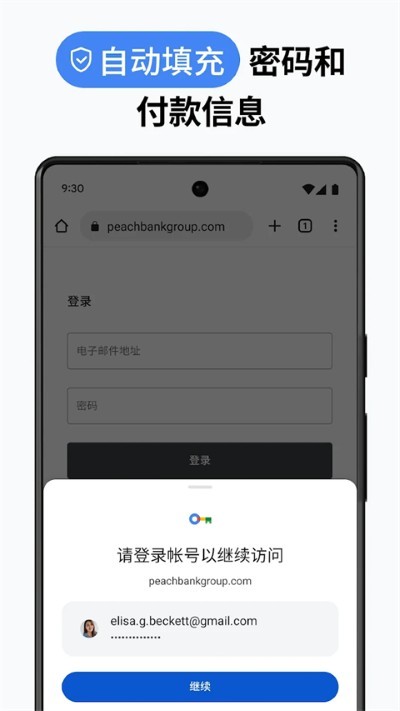 �ȸ�app(Google Chrome) v138.0.7204.1791
