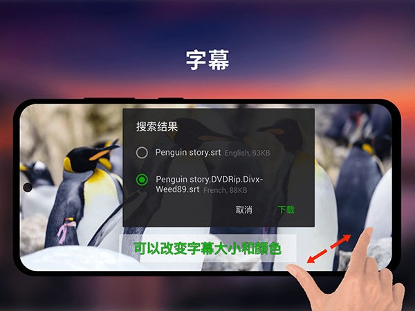XPlayer������ v2.6.21