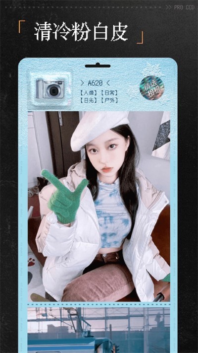ProCCD����CCD��Ƭ��� v6.1.00