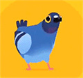 ���ĸ���pigeonpop