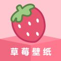 ��ݮ��ֽ�ֻ���ֽ