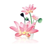 ˮī������APP