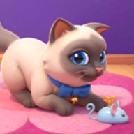 ����ũ��3����԰���°汾