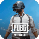 PUBG������������