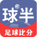 球半app