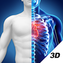 3D�������ͼ��app