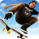 skate3