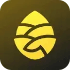 �ɹ�����app