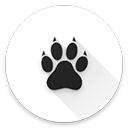 Amarok�ļ���������
