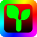 �����Plus