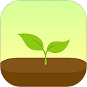Forest רעɭ��