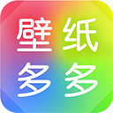 ��ֽ��ද̬��ֽ
