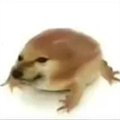 �ҵĵ�������