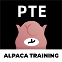 ����pte��ҳ��