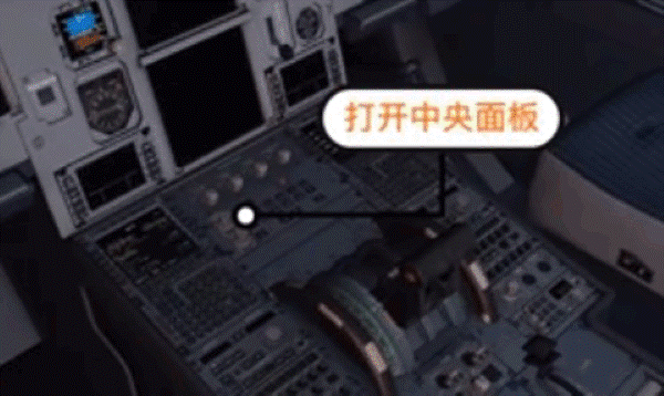 模拟飞行10 模拟飞行10