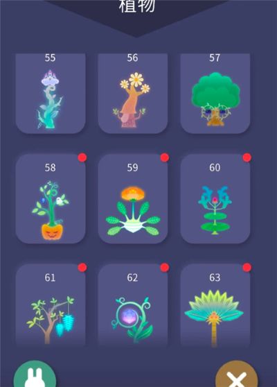 ҹ֮ɭ���İ�