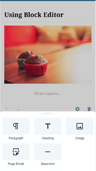 wordpress��׿app