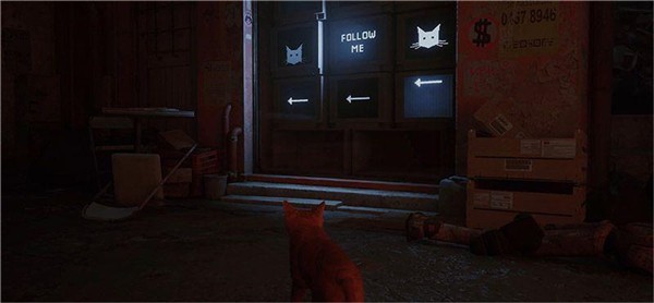 ��ʧstray��Ѱ�