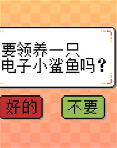 我的小鲨鱼 我的小鲨鱼