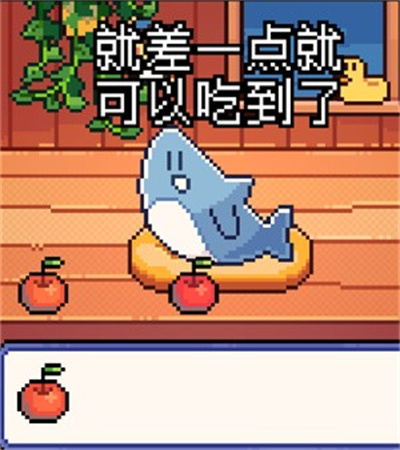 我的小鲨鱼 我的小鲨鱼