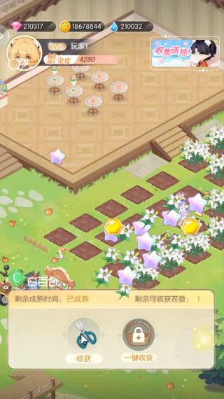 明星花店游戏 明星花店游戏