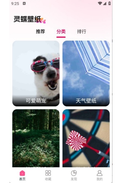 �����ֽapp