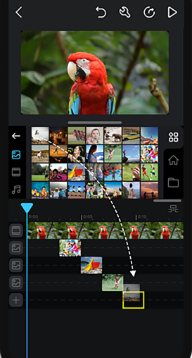 Cute CUT Pro