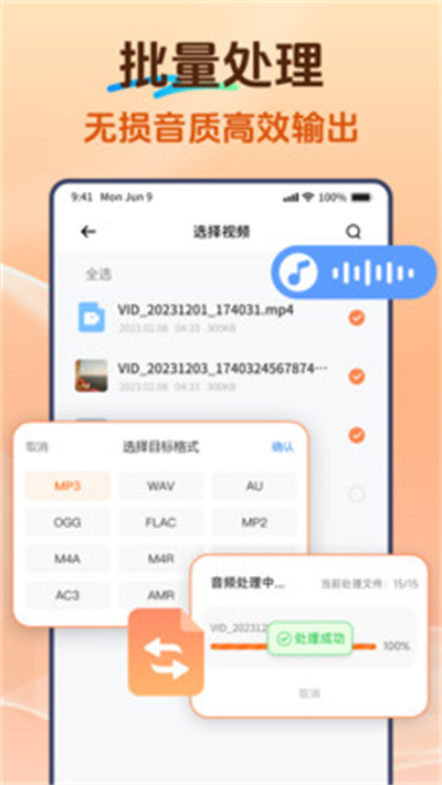 Viwoo��Ƶ��ʽת����